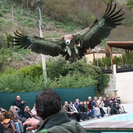 Летний дом La Fuente